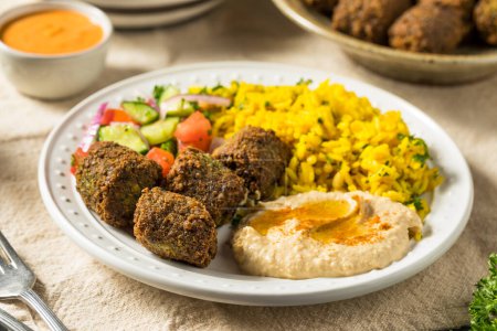 Photo for Homemade Mediterranean Falafel Plate with Rice and Hummus - Royalty Free Image