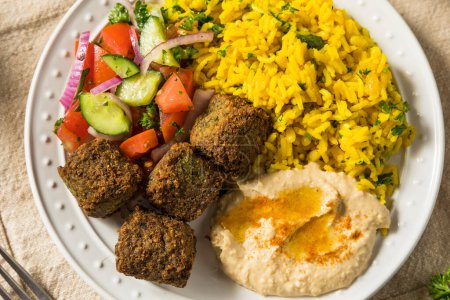 Photo for Homemade Mediterranean Falafel Plate with Rice and Hummus - Royalty Free Image