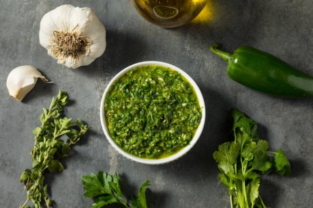 Photo for Homemade Spicy Chimichurri Sauce with Cilantro Parsley and Oregano - Royalty Free Image