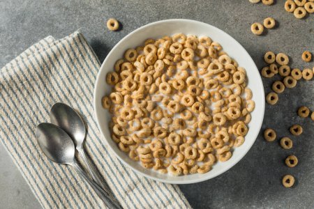 Foto de Anillos de cereales para el desayuno de avena saludable con leche entera - Imagen libre de derechos