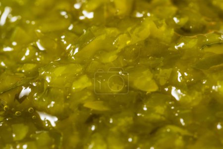 Téléchargez les photos : Green Healthy PIckle Relish in a Bowl - en image libre de droit
