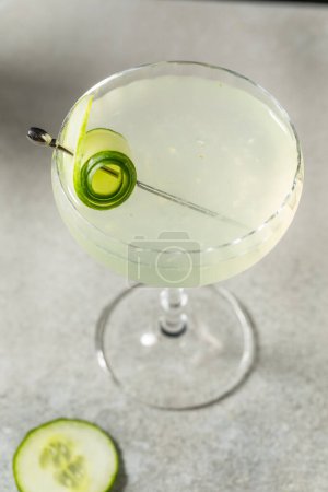 Foto de Cold Boozy Pepino Martini con Vodka y Vermú - Imagen libre de derechos