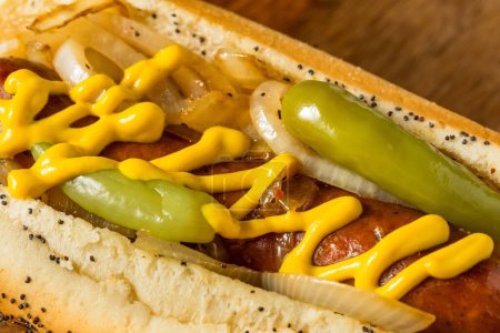 Téléchargez les photos : Saucisse polonaise maison Chicago Style Maxwell Street avec moutarde et oignons - en image libre de droit