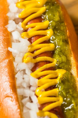 Téléchargez les photos : Hot Dog grillé à l'omble avec relique à la moutarde et oignon - en image libre de droit