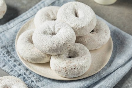 Photo for Homemade Sweet Powdered Sugar Donuts for Breakfast - Royalty Free Image