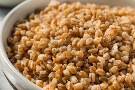 Photo for Cooked Organic Farro Grain in a Bowl for Dinner - Royalty Free Image