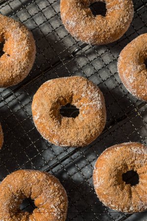 Photo for Sweet Homemade Apple Cider Donuts with Cinnamon and Sugar - Royalty Free Image