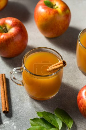 Photo for Warm Homemade Apple Cider with a Cinnamon Stick - Royalty Free Image