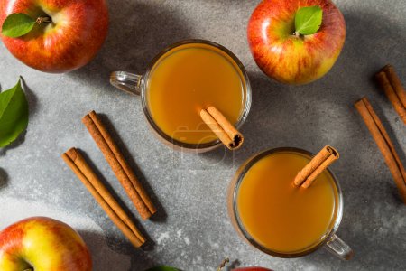 Téléchargez les photos : Cidre de pomme fait maison chaud avec un bâton de cannelle - en image libre de droit