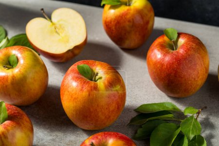 Photo for Red Organic Raw Envy Apples in a Bunch - Royalty Free Image