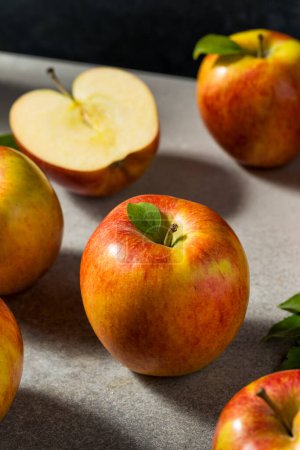 Téléchargez les photos : Pommes d'envie crues biologiques rouges en grappe - en image libre de droit