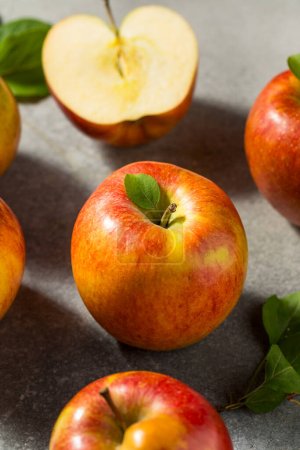 Photo for Red Organic Raw Envy Apples in a Bunch - Royalty Free Image