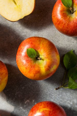 Foto de Manzanas de envidia cruda orgánica roja en un manojo - Imagen libre de derechos