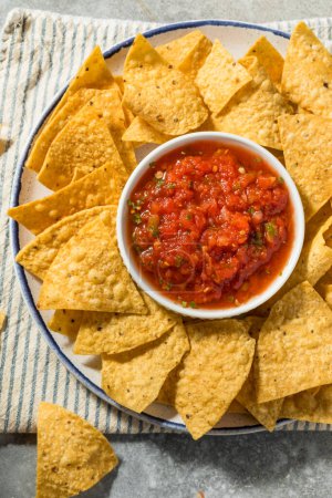 Téléchargez les photos : Chips de tortilla bio maison sains et salsa prêts à manger - en image libre de droit