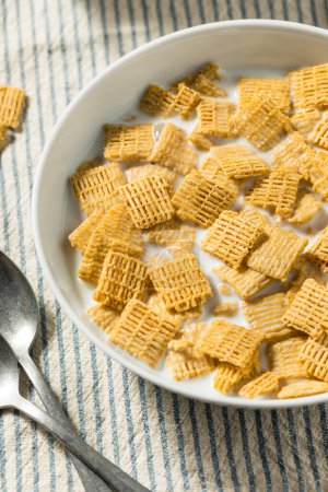 Photo for Healthy Organic Cinnamon Whole Wheat Cereal with Milk - Royalty Free Image