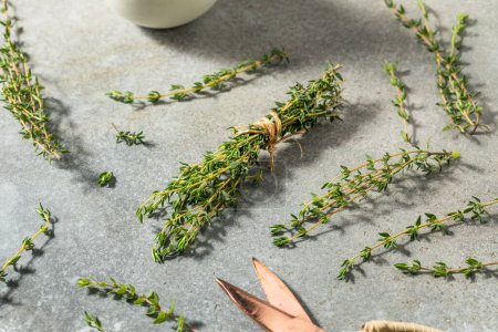 Photo for Raw Green Organic Fresh Thyme in a Bunch - Royalty Free Image