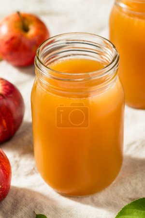Téléchargez les photos : Jus de cidre de pomme rafraîchissant froid dans un verre - en image libre de droit