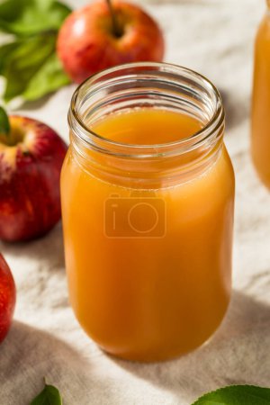 Téléchargez les photos : Jus de cidre de pomme rafraîchissant froid dans un verre - en image libre de droit
