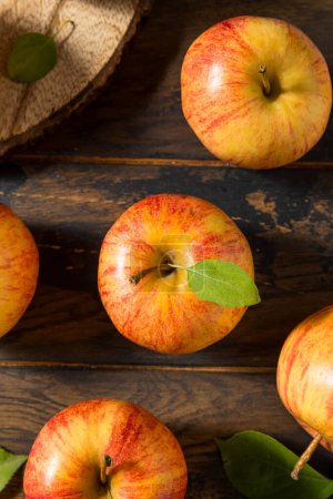 Téléchargez les photos : Gala royal biologique sain Pommes en grappe - en image libre de droit