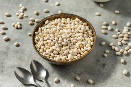 Photo for Organic White Navy Beans in a Bowl - Royalty Free Image