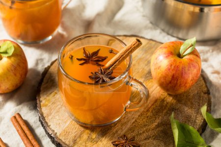 Photo for Warm Organic Mulled Apple Cider in a Mug - Royalty Free Image