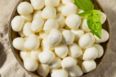 Téléchargez les photos : Perles de mozzarella bio crues saines au basilic - en image libre de droit