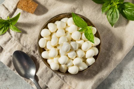 Photo for Healthy Raw Organic Mozzarella Pearls with Basil - Royalty Free Image