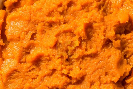 Foto de Puré de calabaza de naranja cruda orgánica en un tazón - Imagen libre de derechos