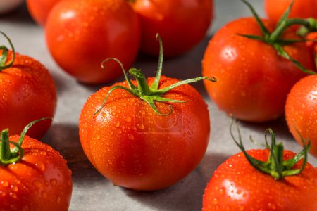 Photo for Organic Red Vine Ripened Tomatoes Ready to Eat - Royalty Free Image