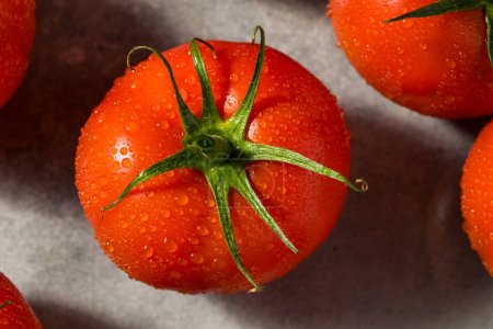 Téléchargez les photos : Tomates mûries à la vigne rouge biologique prêtes à manger - en image libre de droit