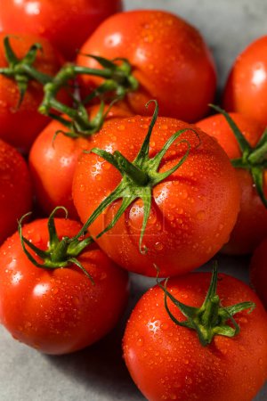 Foto de Tomates maduros de vid roja ecológica listos para comer - Imagen libre de derechos