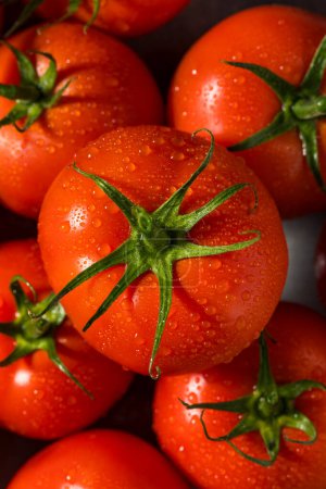 Téléchargez les photos : Tomates mûries à la vigne rouge biologique prêtes à manger - en image libre de droit