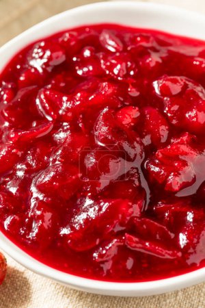 Téléchargez les photos : Sauce aux canneberges rouges de Thanksgiving maison dans un bol - en image libre de droit
