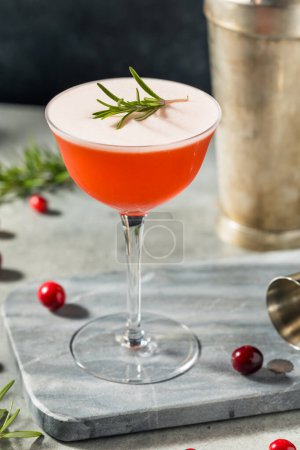 Téléchargez les photos : Cocktail de Noël aux canneberges rouges avec romarin - en image libre de droit
