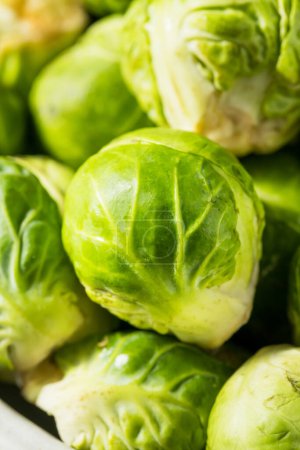 Photo for Healthy Organic Brussels Sprouts Ready to Cook - Royalty Free Image