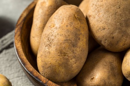 Téléchargez les photos : Pommes de terre crues bio Idaho Russet dans un bol - en image libre de droit