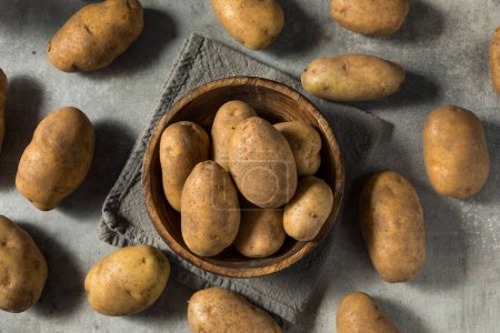 Photo for Raw Organic Idaho Russet Potatoes in a Bowl - Royalty Free Image