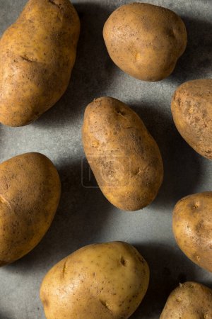 Téléchargez les photos : Pommes de terre crues bio Idaho Russet dans un bol - en image libre de droit