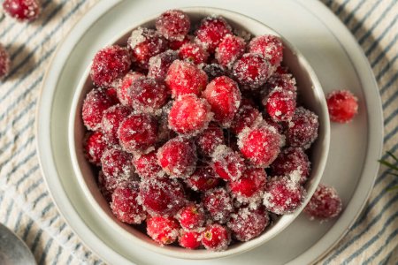 Photo for Organic Homemade Sugared Sweet Cranberries for Christmas - Royalty Free Image
