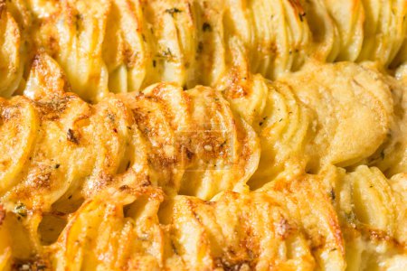Photo for Homemade Hasselback Scalloped Potatoes in a Casserole Dish - Royalty Free Image