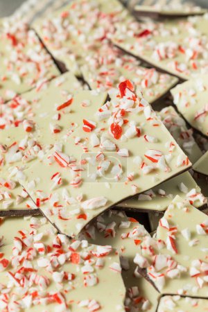 Photo for Homemade Christmas Peppermint Bark with White Chocolate - Royalty Free Image