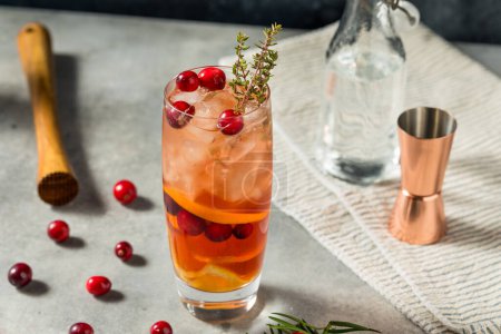Téléchargez les photos : Boozy Noël canneberge sous le gui Cocktail avec Gin - en image libre de droit