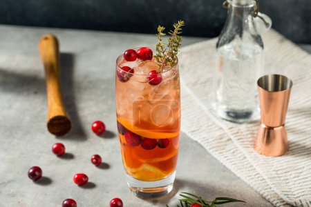Téléchargez les photos : Boozy Noël canneberge sous le gui Cocktail avec Gin - en image libre de droit