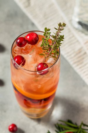 Photo for Boozy Christmas Cranberry Under the Mistletoe Cocktail with Gin - Royalty Free Image