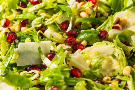 Téléchargez les photos : Salade de choux de Bruxelles bio crus au fromage et à la grenade - en image libre de droit