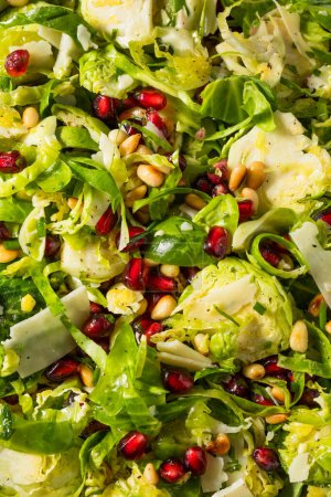 Photo for Raw Organic Brussels Sprouts Salad with Cheese and Pomegranate - Royalty Free Image