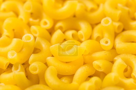 Photo for Raw Organic Uncooked Macaroni Noodles in a Bowl - Royalty Free Image