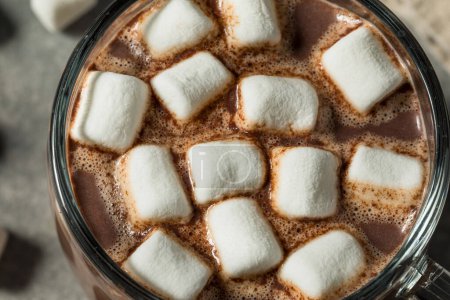 Téléchargez les photos : Cacao au chocolat chaud doux avec guimauves - en image libre de droit