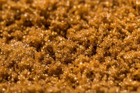 Photo for Organic Raw Sweet Light Brown Sugar in a Bowl - Royalty Free Image