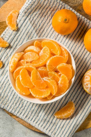 Photo for Organic Raw Peeled Mandarin Oranges Ready to Eat - Royalty Free Image
